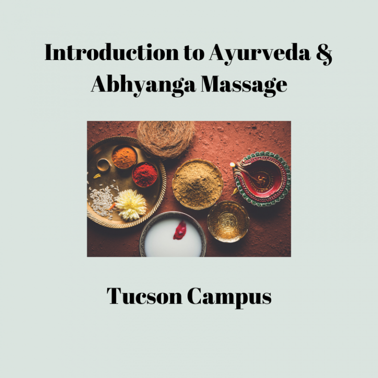 Ayurveda visual data 4